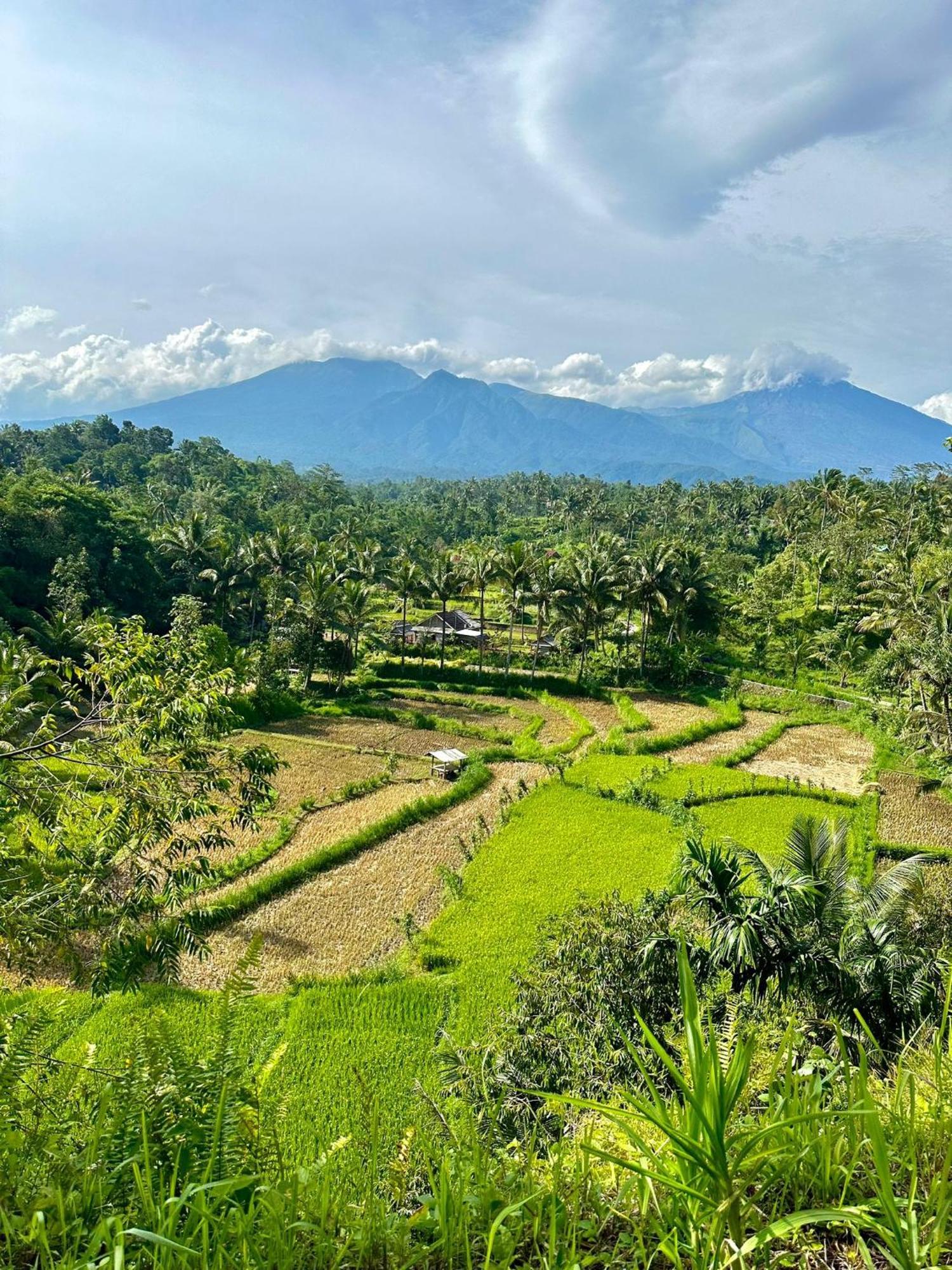 Girang Rinjani Bungalows Tetebatu Exterior photo