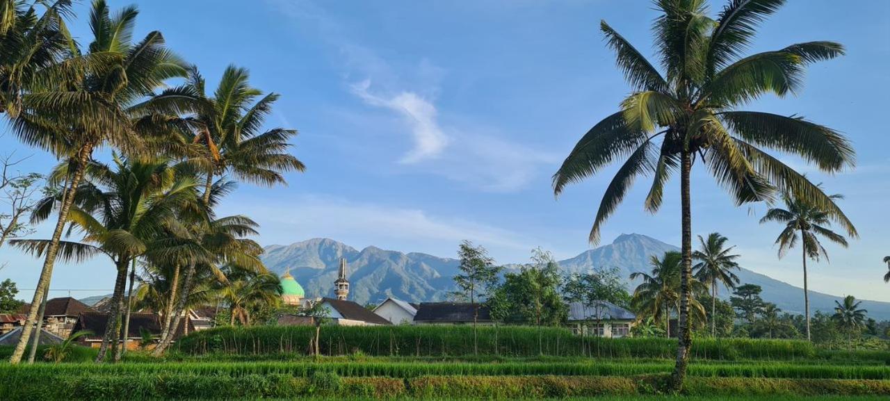 Girang Rinjani Bungalows Tetebatu Exterior photo