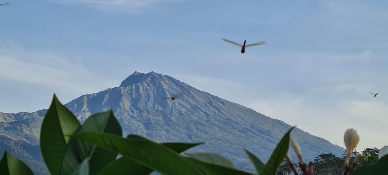Girang Rinjani Bungalows Tetebatu Exterior photo