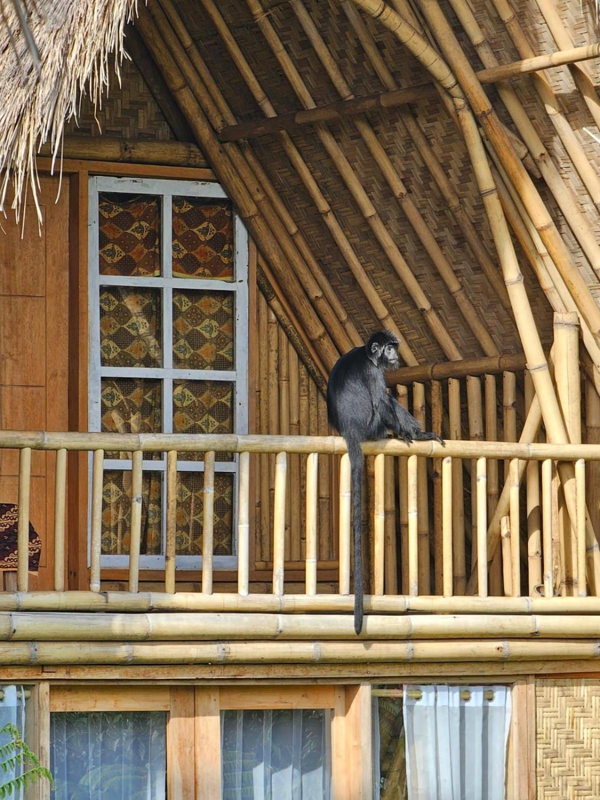 Girang Rinjani Bungalows Tetebatu Exterior photo